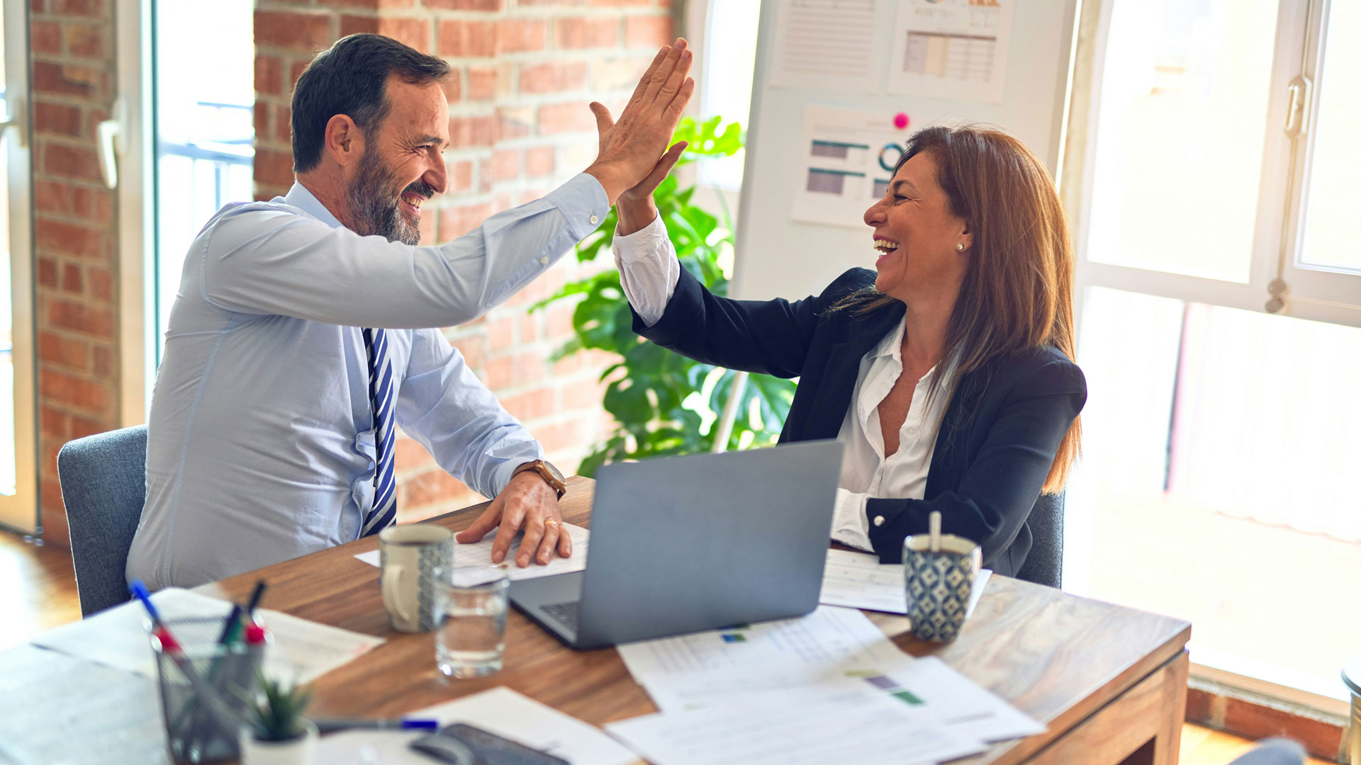 Website Development & SEO